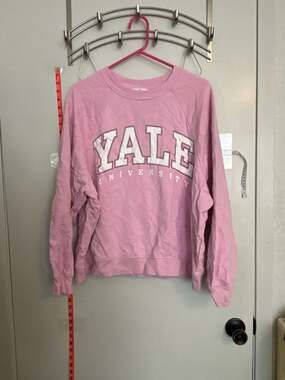 H&M Yale University Pink Oversized Crewneck Sweatshirt